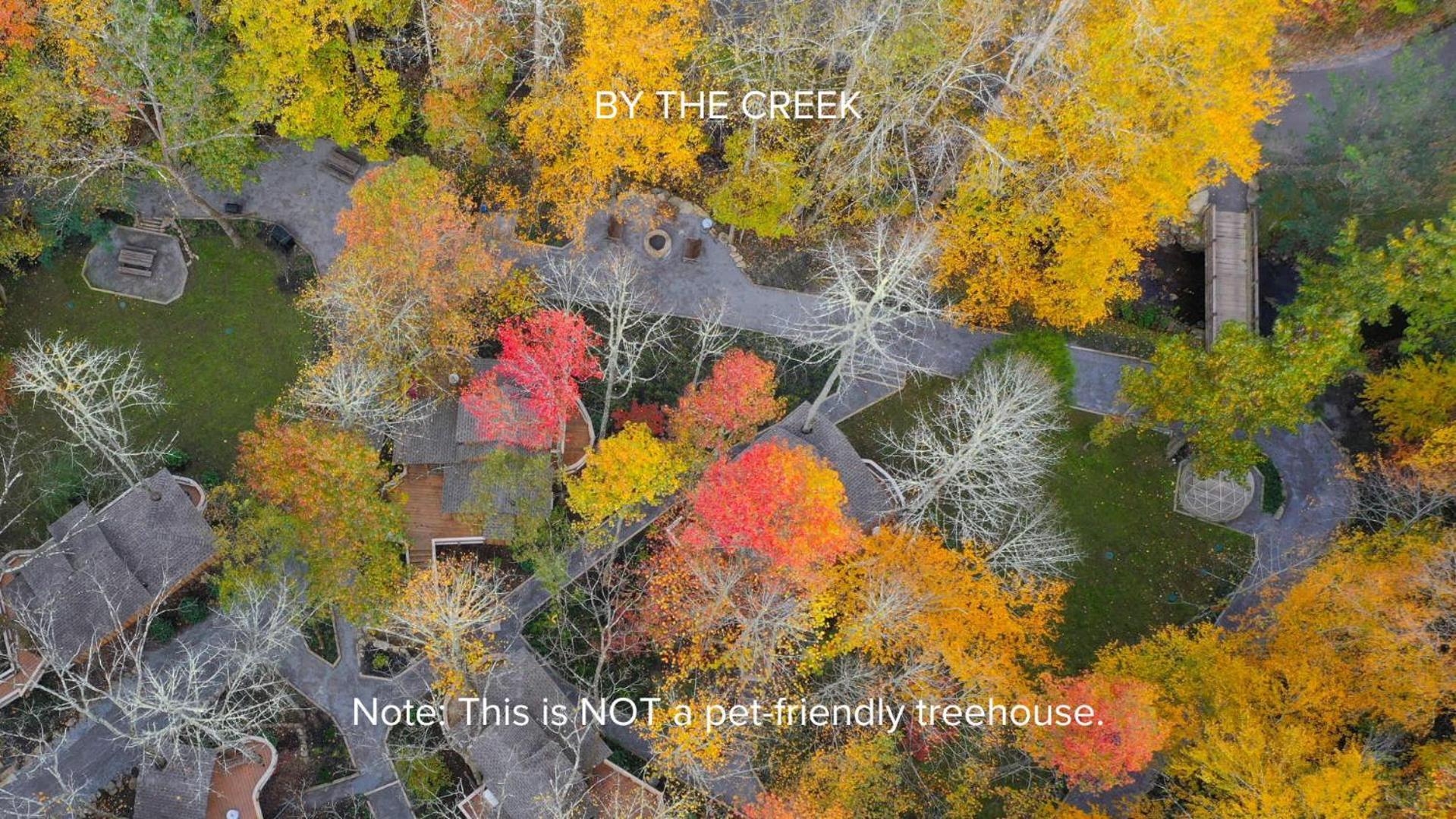 Вилла The Dogwood In Treehouse Grove At Norton Creek Гатлинбург Экстерьер фото
